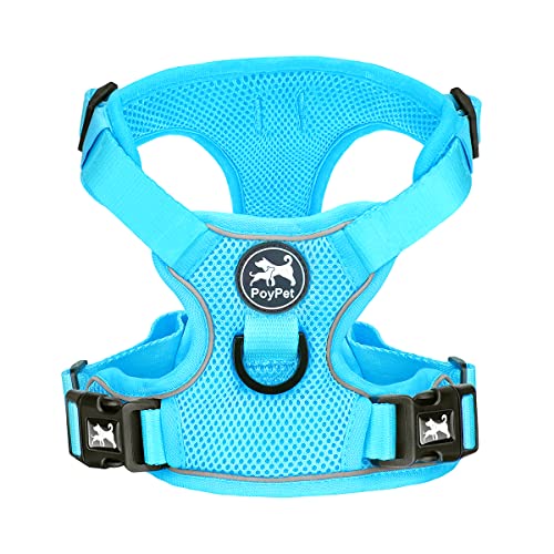 Mesh Dog Harness (M / Blue)