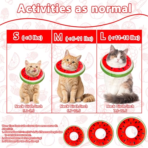 Cat Cone Collar Soft (Watermelon / Small)