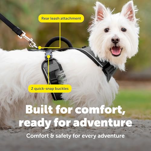 EasySport Dog Harness (Small / Charcoal)