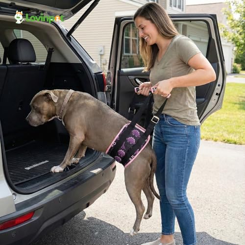 Dog Lift Harness Rear Support Sling (Black Pink)