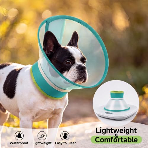 Dog Cone Collar to Stop Licking (Green / S)