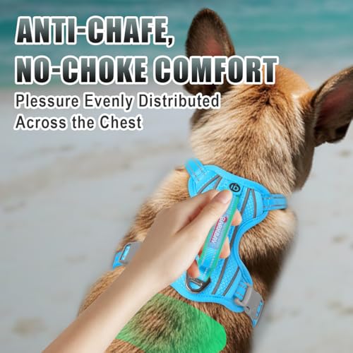 Dog Harness for Small Sized Dog No Pull Dog Vest ID Tag Pocket (Blue / Small)