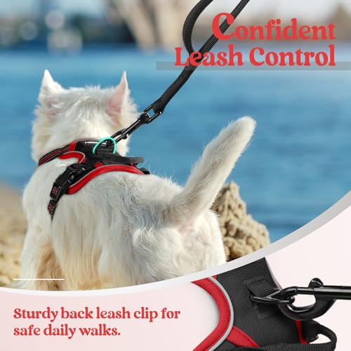 Dog Harness No Pull for Small Dogs with 2 Leash Clips (X-Small / Black & Red)