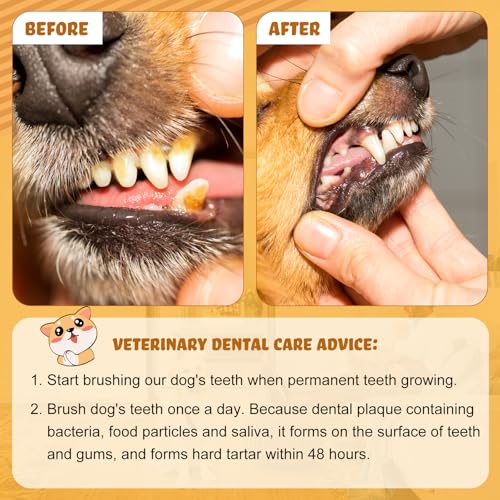 100 Pcs Small Dog Toothbrush Bulk Pack Long Handle Pet Toothbrushes with Soft Bristles (7 Colors)