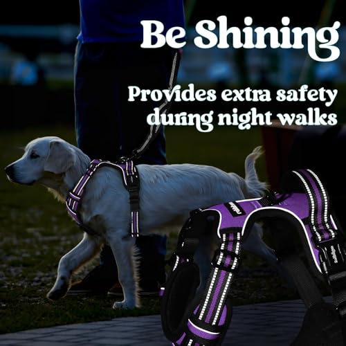 Dog Harness Small Sized (Small / Purple)