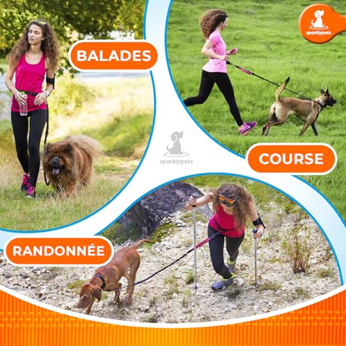 Hands Free Dog Leash (Pink / 1 dog M/L)