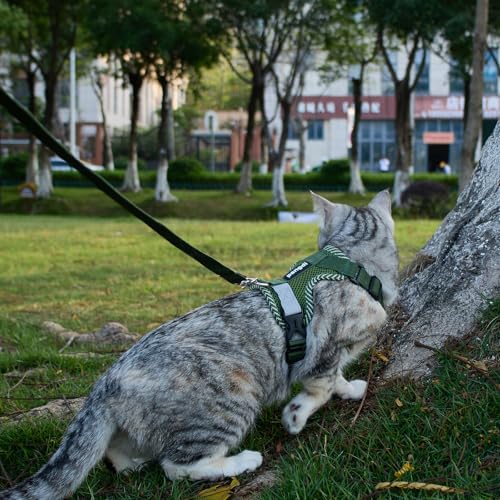Cat Harness and Leash Set (Dark Green / XX-Large)