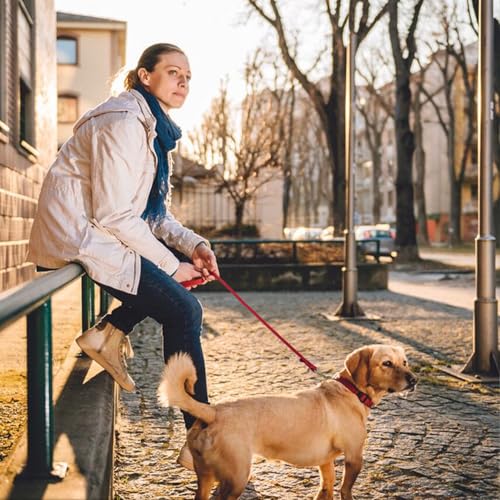 Leather Dog Leash 8ftx1 (8ft x 1/2'' / Red)