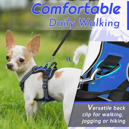 Dog Harness for Small Dogs (X-Small / Blue)
