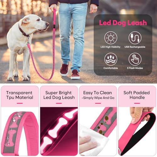 Light Up Dog Leash (Pink)