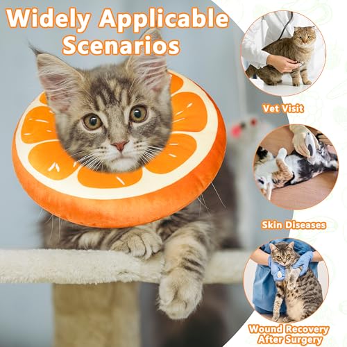 Cat Cone Collar Soft (Orange / Small)