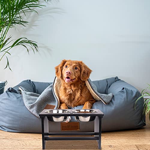 Elevated Dog Bowl Stand with 2 Stainless Steel Bowls (large-10"tall,48 Oz bowl / Black)