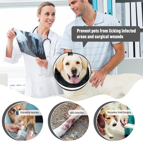 Inflatable Dog Cone (XL / Black)