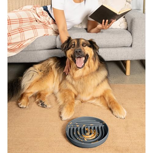 Slow Feeder Dog Bowl (Charcoal - Rainbow Design / Large (9.5” Across and 1.5” Tall))