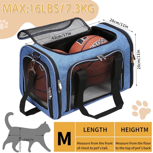 Soft Sided Cat (BLUE / 17"L x 11"W x 11"H)