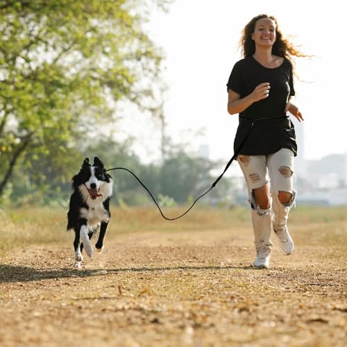 9-in-1 Hands Free Dog Leash Crossbody/Waist Black Small Dogs (Matte Black / Small - 6mm Diameter - 6-20lbs)