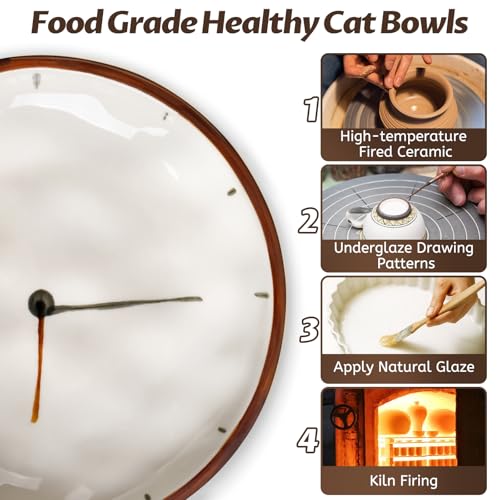 Clock Cat Food Bowl (Clock-3 Pack)