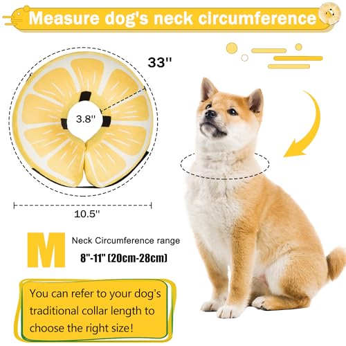 Inflatable Dog Cone Collar for Large Medium Small Dogs (Lemon / M（neck 8"-11"）)