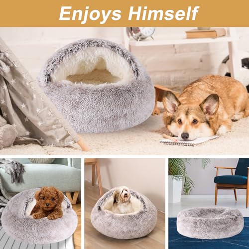 Dog Beds for Small Dogs (24.0"L x 24.0"W x 14.0"Th / Coffee)