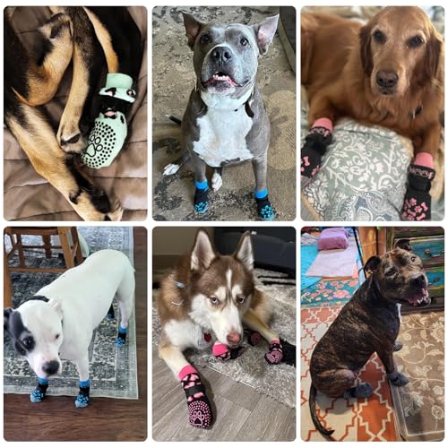 Dog Socks Shoes for Hot Pavement to Prevent Licking Paws (blue / Large (4 Pack))