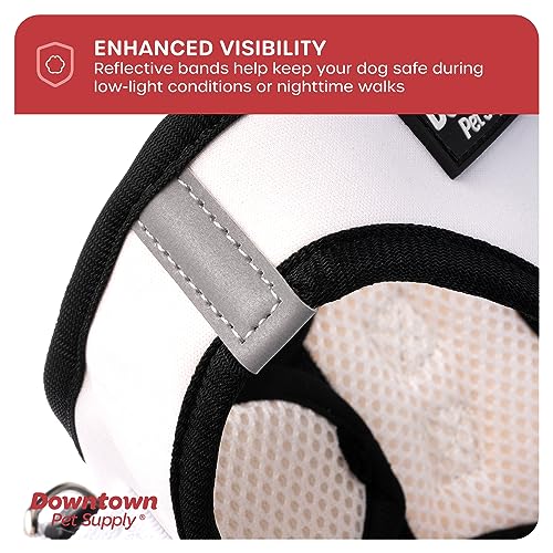 Step in Dog Harness for Small Dogs No Pull (Medium / Doodle)