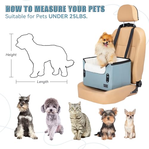 Dog Car Seats for Small Dogs