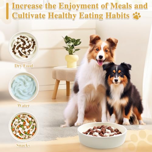 Ceramic Slow Feeder Dog Bowls (Beige-L)