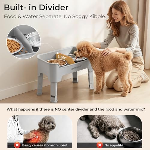 Mess Proof Elevated Dog Bowls for Small Dogs with Splash Guard (Light Grey / Small)