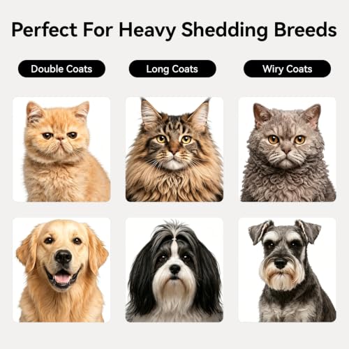 Undercoat Rake for Dogs (White)