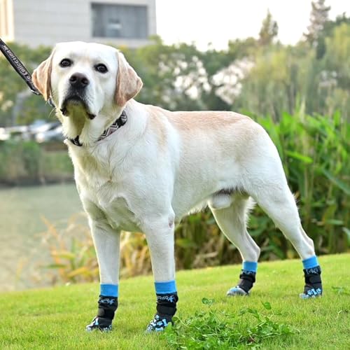 Dog Socks Shoes for Hot Pavement to Prevent Licking Paws (blue / Medium (4 Pack))