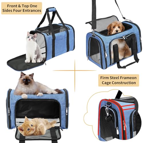 Soft Sided Cat (BLUE / 17"L x 11"W x 11"H)
