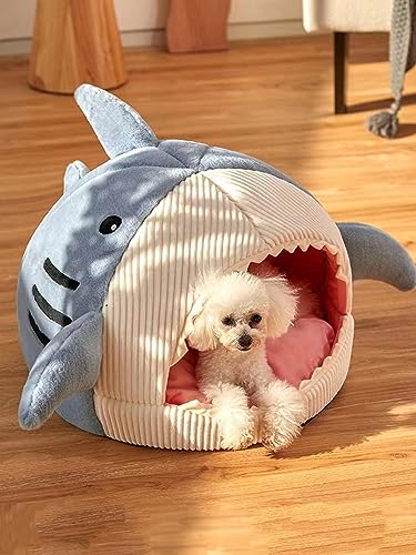 Cat Mat Shark (Large / Blue)