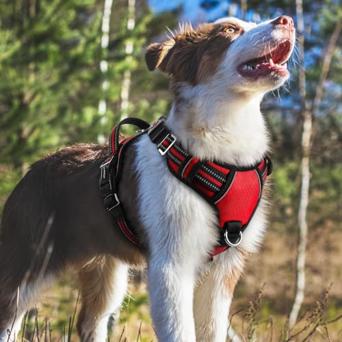 Dog Harness Medium Sized (Red / Medium)