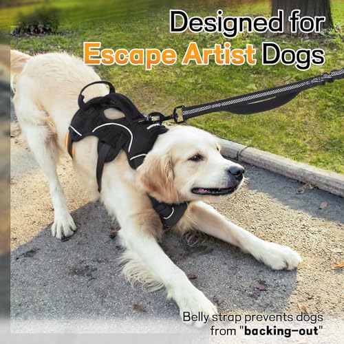 Escape Proof Dog Harness for Large (Black / Large)