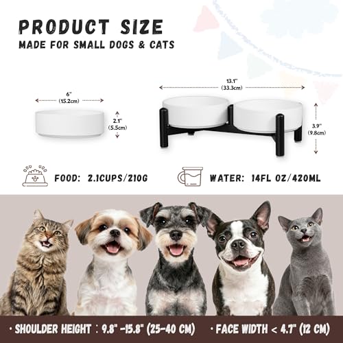 Raised Ceramic Dog Bowl Set with Stand (White / 2 Bowls - 2.1 Cups Each)