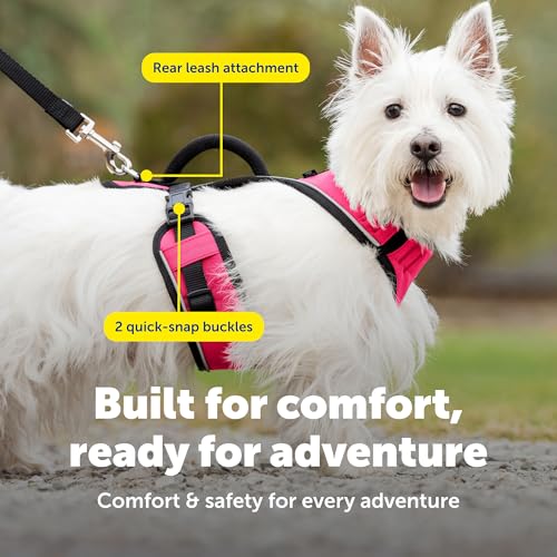 EasySport Dog Harness (Small / Pink)