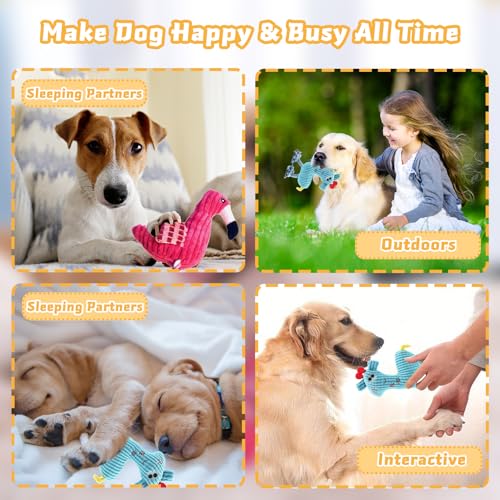 2 Pack Plush Dog Toys with Rope