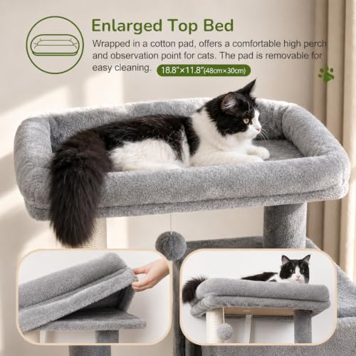 Cat Tree Tower with Scratching Post for Indoor Cats (Light Grey / L)