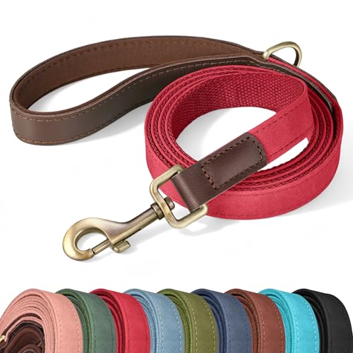 PU Leather Dog Leash for Small Dogs (Red / 5/8"x 5FT)