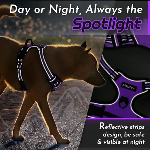 Dog Harness for Small Dogs (Small / Purple)