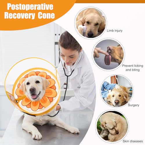 Inflatable Dog Cone Collar with Enhanced Anti (X-Large / Yellow Flower)