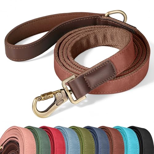 PU Leather Dog Leash for Large Dogs (Reddish Brown / 1"x 6FT)