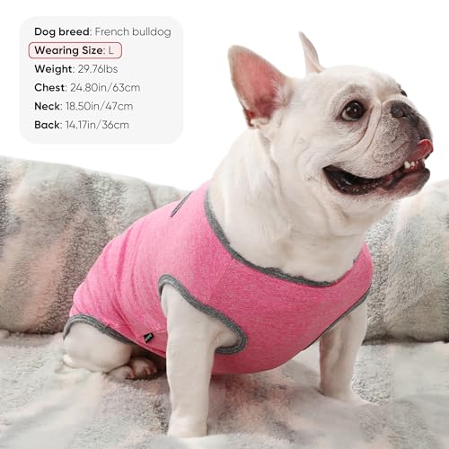 3 Pack Lightweight Sun Protection Dog Shirt Breathable Sleeveless Dog T Shirts Extra Soft Top Tank Dog Clothes for Outdoor Activities (Light Pink + Rose Pink + Peach Pink / XS (Back: 10.2",Chest: 15.8", Neck 10.6"))