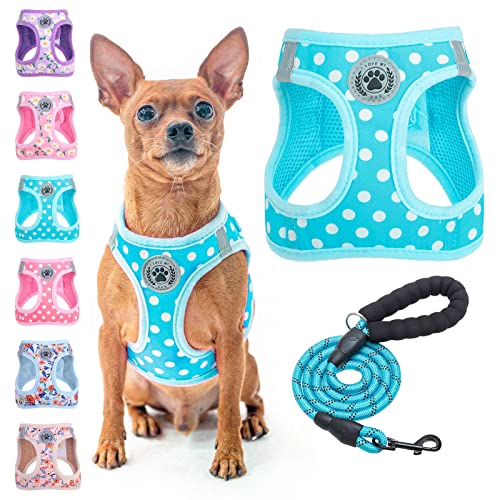 Small Dog Harness and Leash Set (XSmall(Chest Girth 13" - 14.5") / Blue Polka Dots)