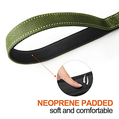 5FT 1IN Heavy Duty Dog Leash for Large Dogs with 2 Padded Handles (Green / 1 in x 5 ft)