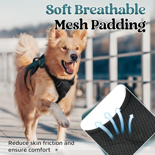 Escape Proof Dog Harness for X (Dark Green / X-Large)