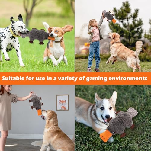 15" Squeaky Platypus Dog Toy (Platypus)