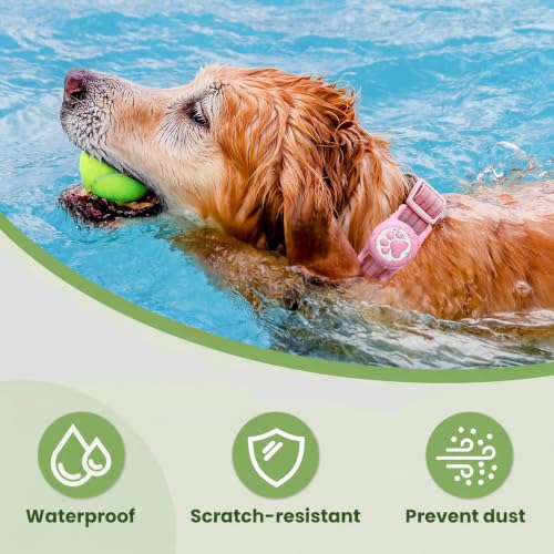 Dog Tracker with Apple Find My