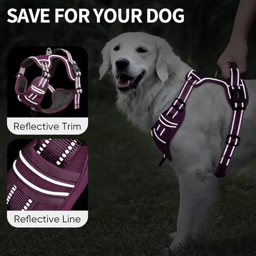 Dog Harness for Small Dogs No Pull Dog Vest Harness for Small Dog with Soft Padded Handle Reflective for Outdoor Training (S / Purple(Matching Trim))
