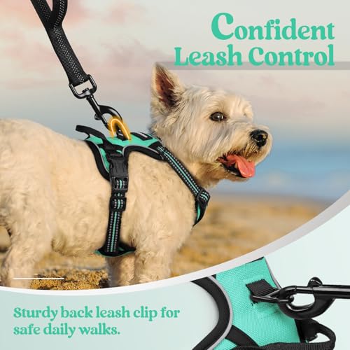 Dog Harness No Pull for Small Dogs with 2 Leash Clips (X-Small / Turquoise)